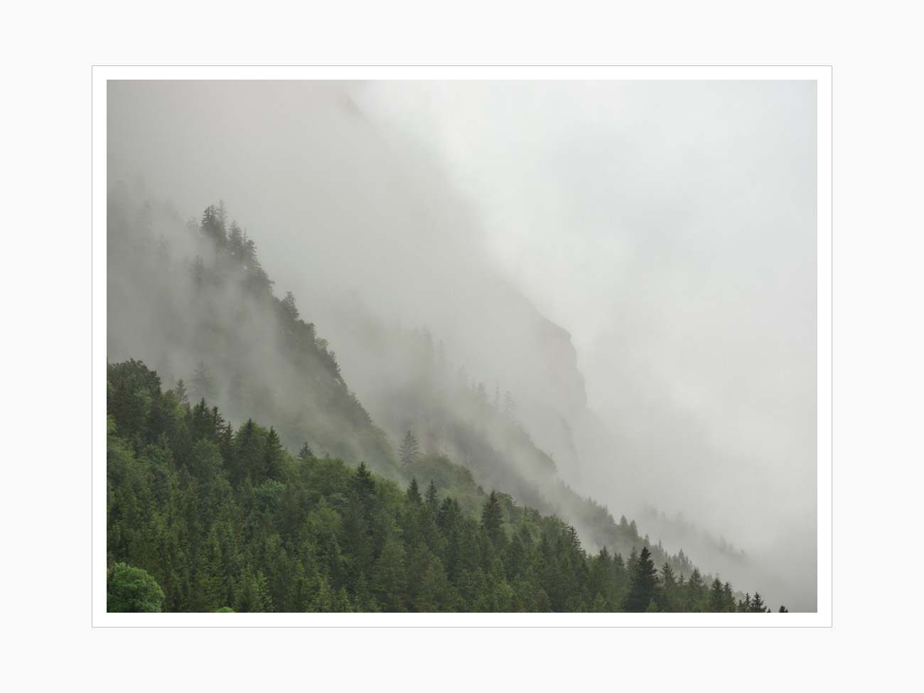 Max Schiefele Alle Bilder  DSF6123